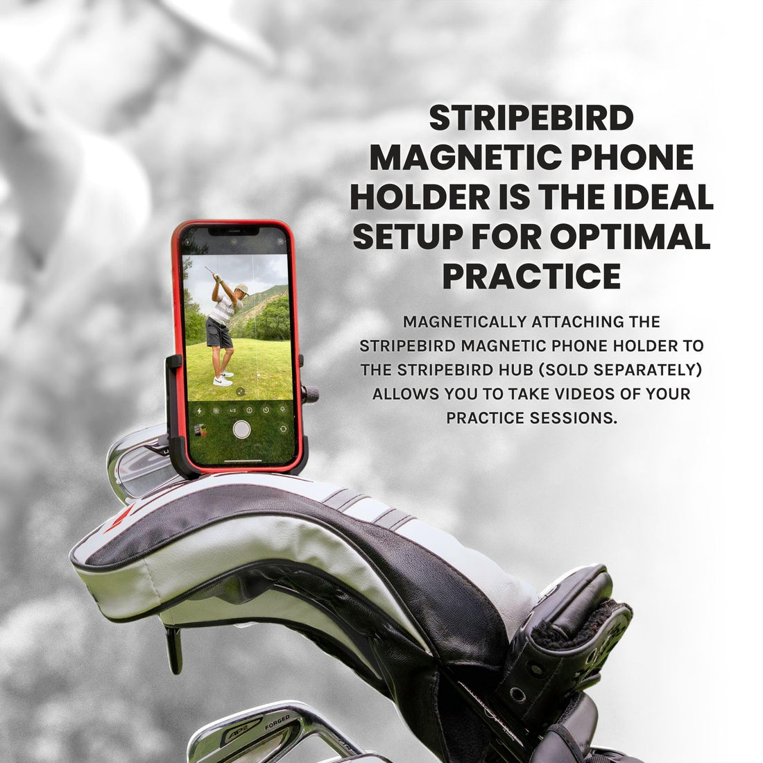 Stripebird - Original Magnetic Golf Cart Phone Holder - Dude Golf