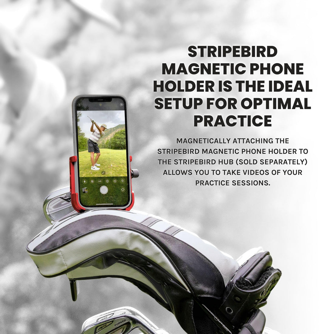 Stripebird - Original Magnetic Golf Cart Phone Holder - Dude Golf