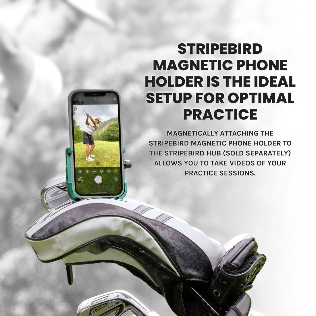 Stripebird - Original Magnetic Golf Cart Phone Holder - Dude Golf