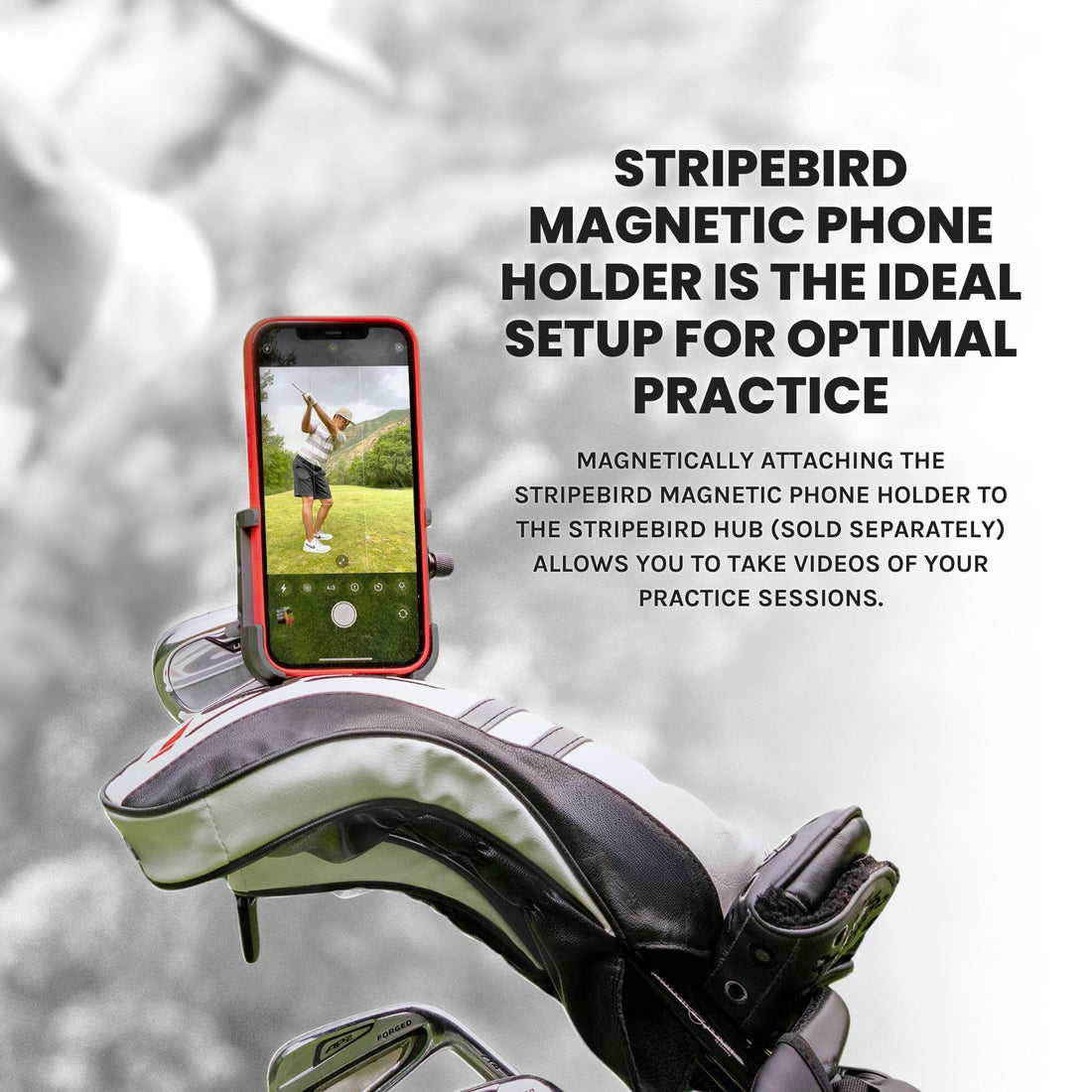 Stripebird - Original Magnetic Golf Cart Phone Holder - Dude Golf