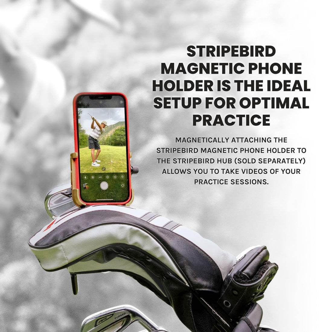 Stripebird - Original Magnetic Golf Cart Phone Holder - Dude Golf