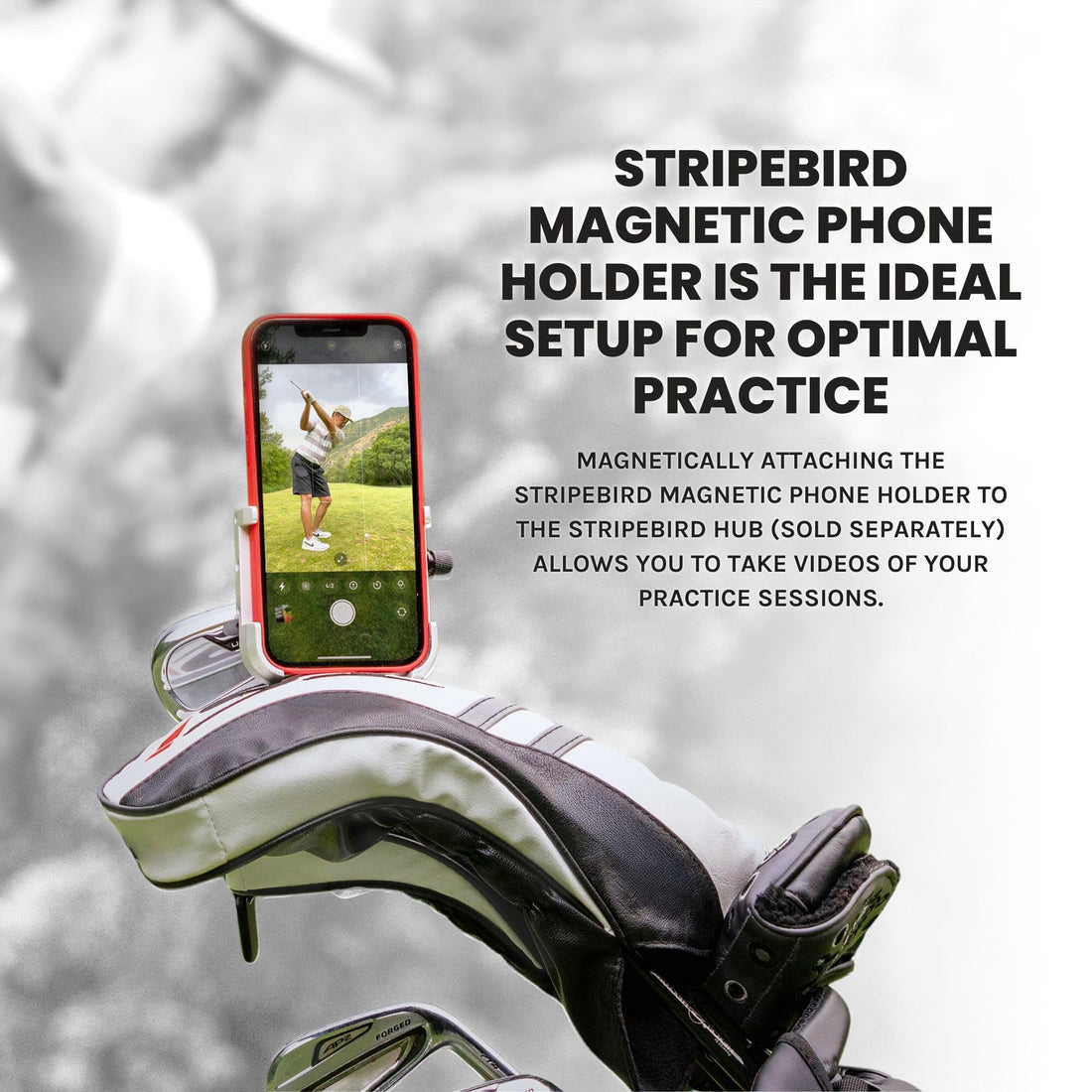 Stripebird - Original Magnetic Golf Cart Phone Holder - Dude Golf